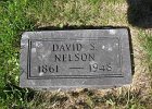 David Nelson